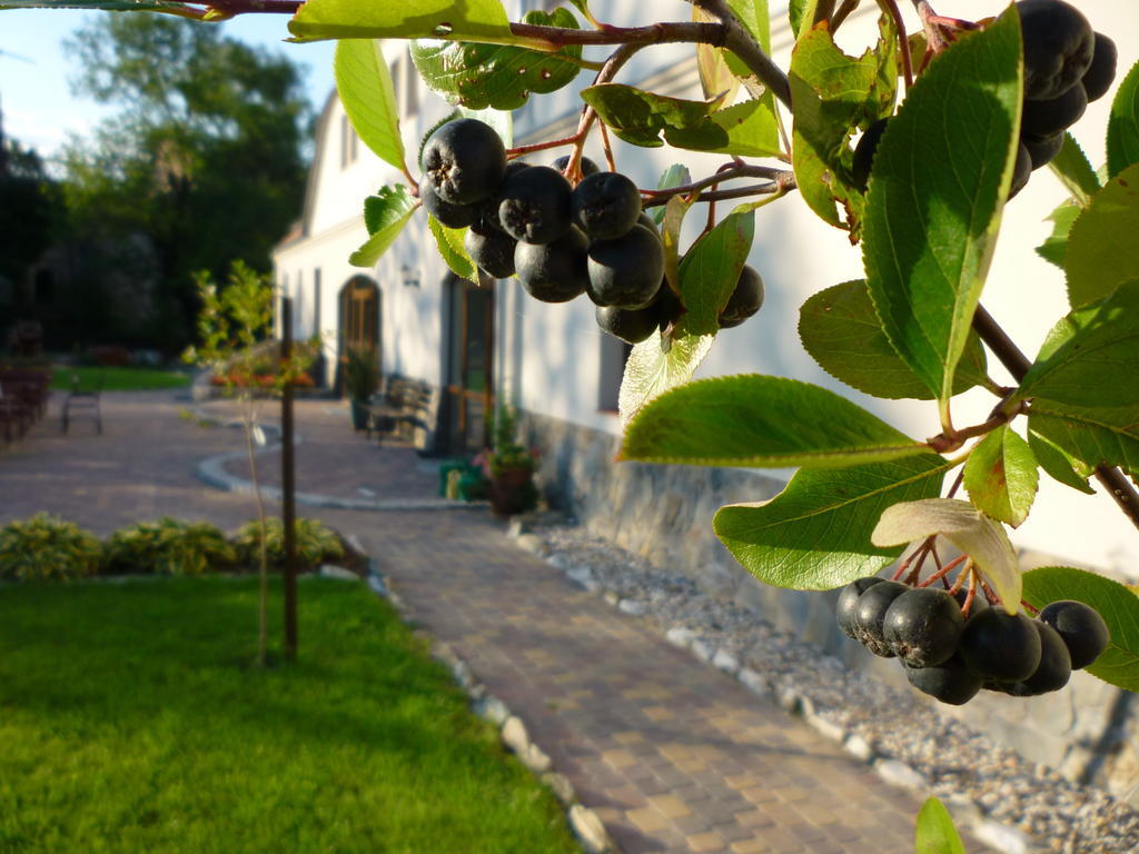 Aronia Park Villa Lubiechowa Eksteriør billede